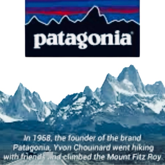 PATAGONIA NANO PUFF 1/2 ZIP PRIMALOFT FILL. GECKO GREEN PULLOVER XL P 24 L 29 - Picture 8 of 13